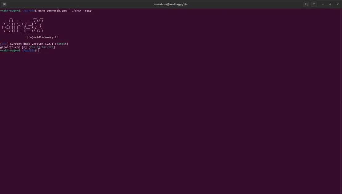 A records from dnsx