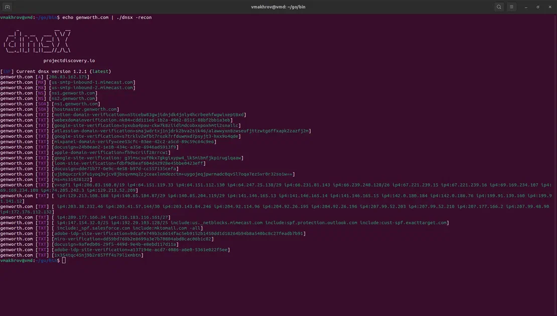 All DNS records from dnsx