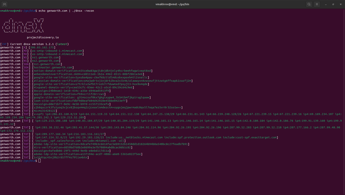 All DNS records from dnsx