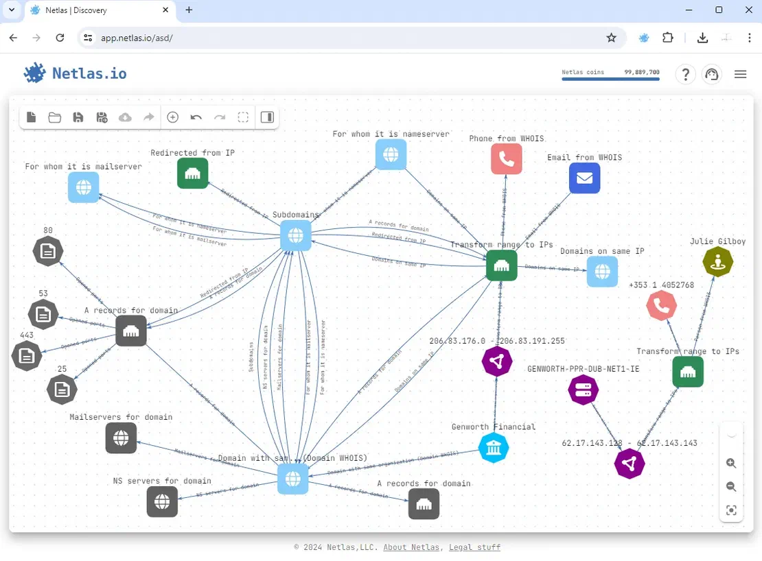 Final attack surface in Netlas Discovery Tool