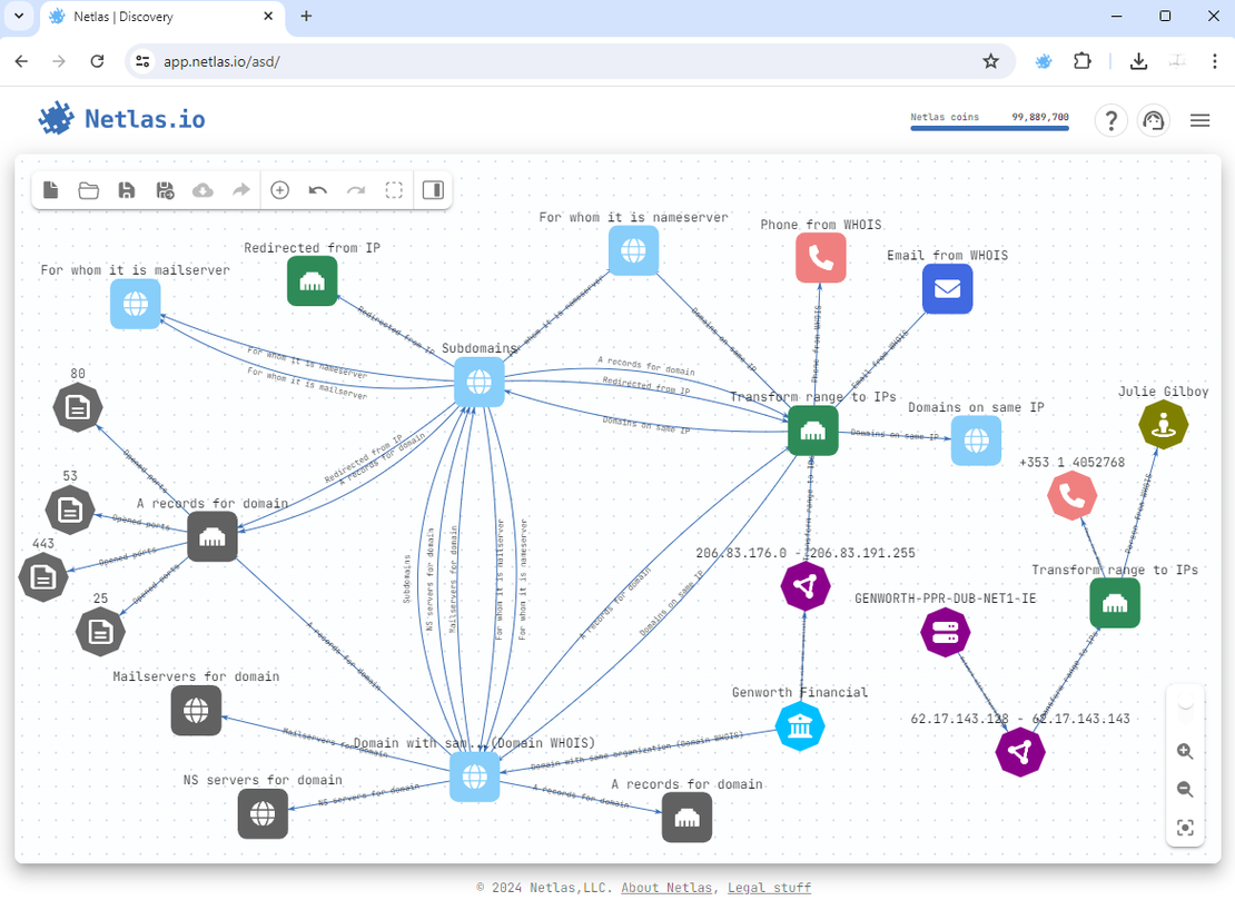Final attack surface in Netlas Discovery Tool