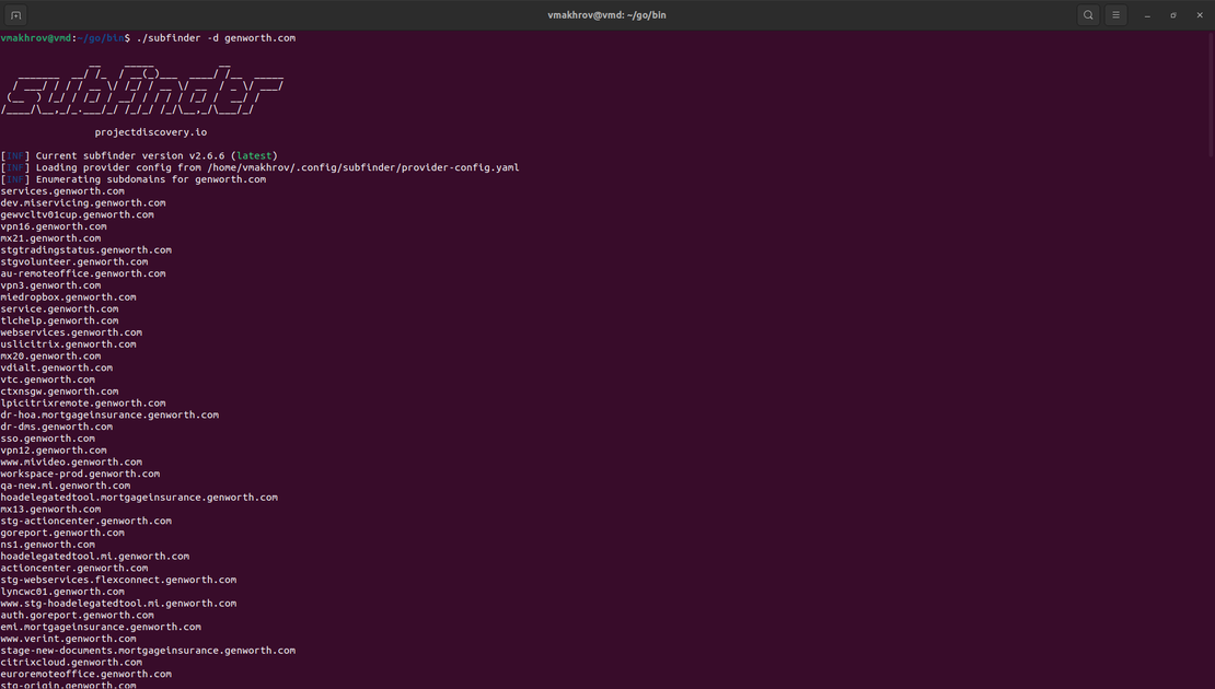 Subdomains enumeration in Subfinder