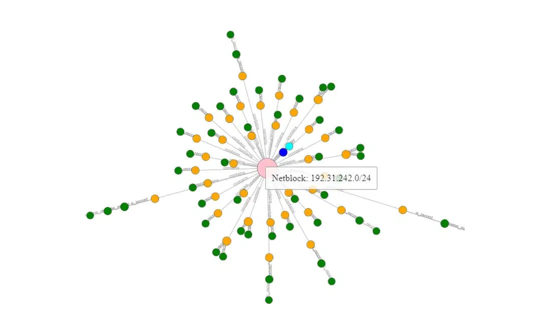 OWASP Amass attack surface