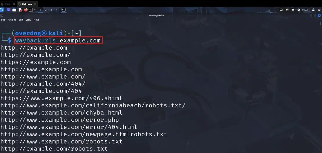 Waybackurls