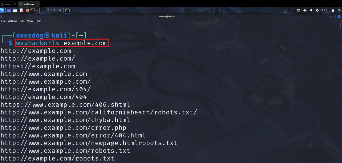 Waybackurls