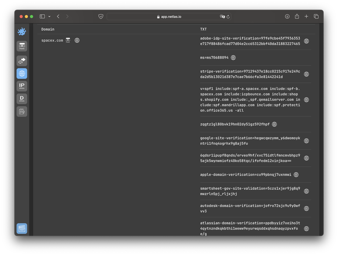 Records for spacex.com in Netlas (2024)