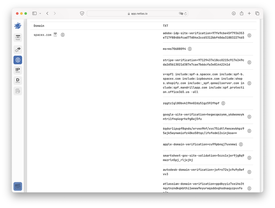 Records for spacex.com in Netlas (2024)