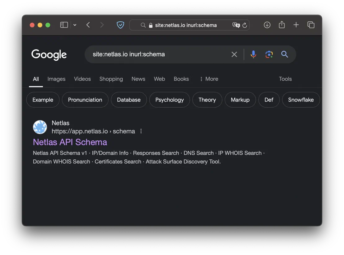 Netlas endpoints search
