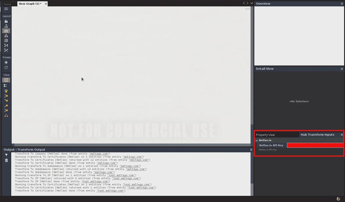 Form for API key input