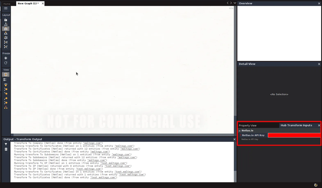 Form for API key input