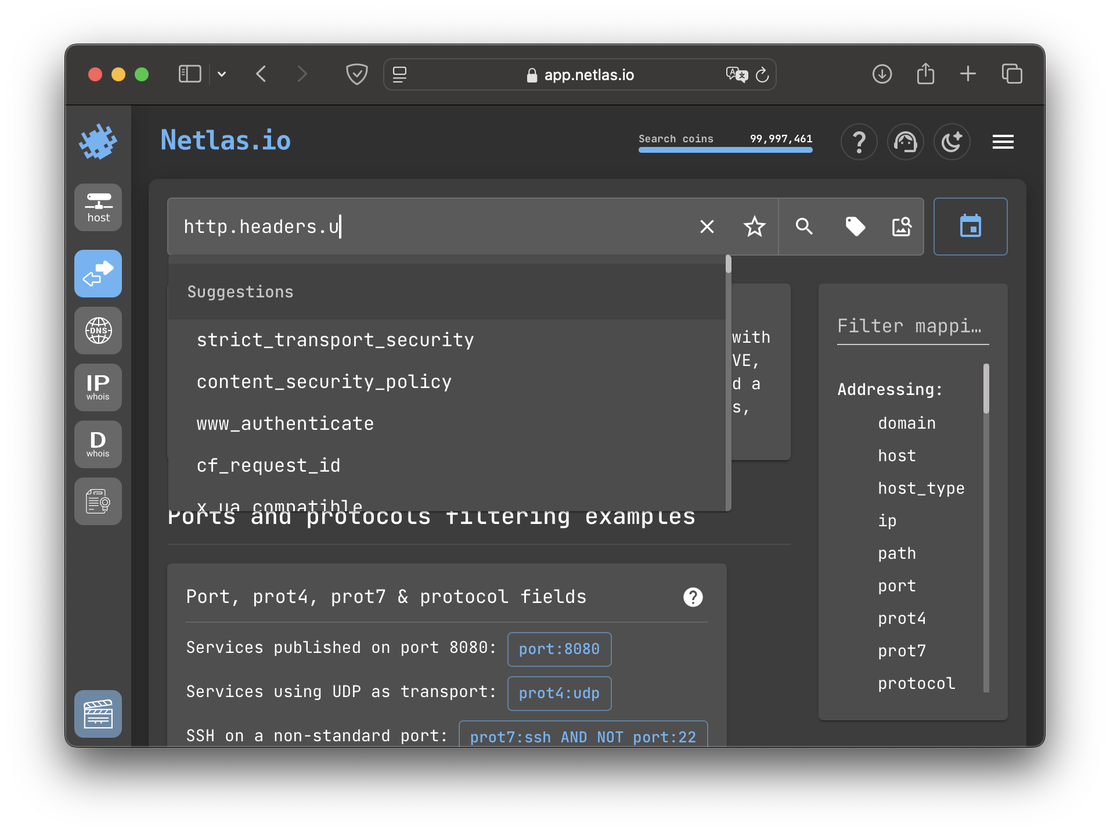 Netlas Search Suggestions