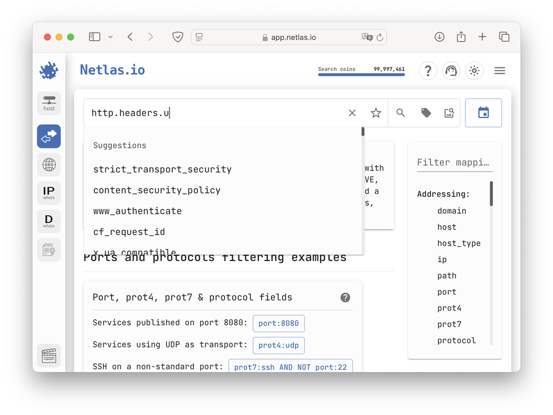 Netlas Search Suggestions