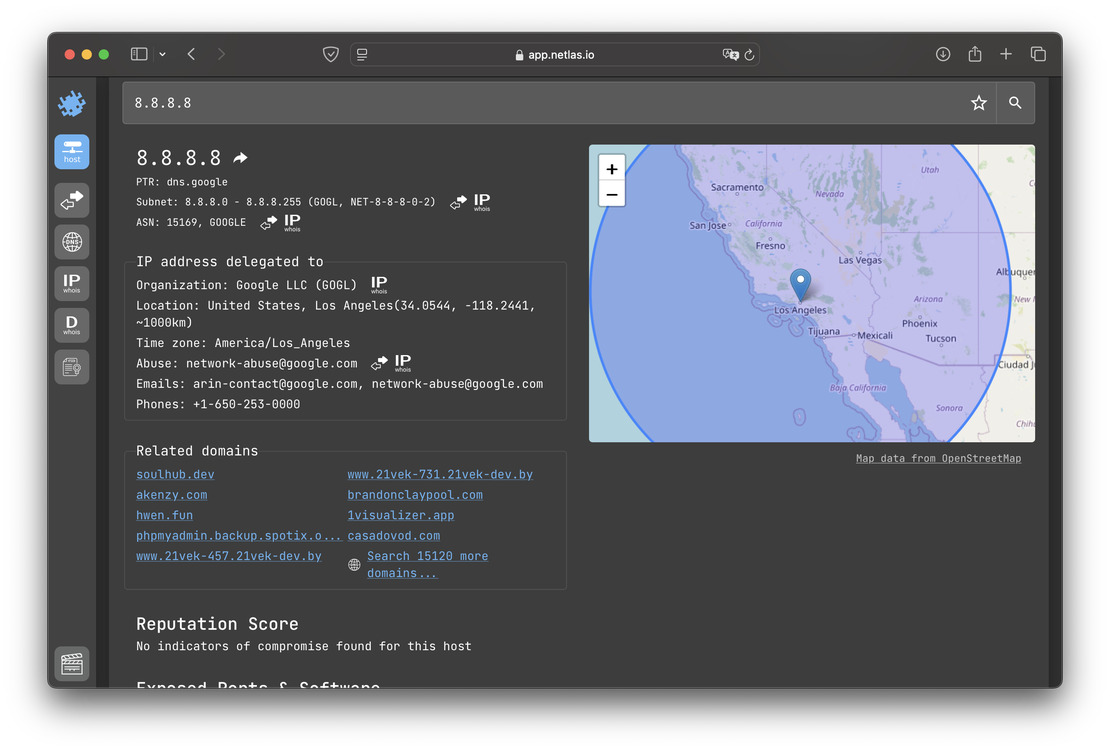 Netlas IP/Domain Info Tool