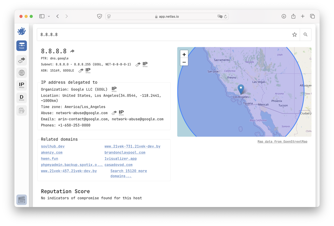 Netlas IP/Domain Info Tool