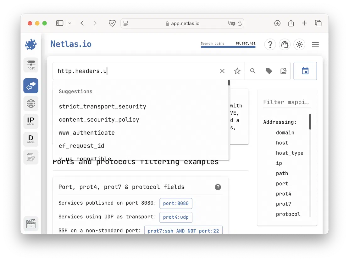 Netlas Search Suggestions