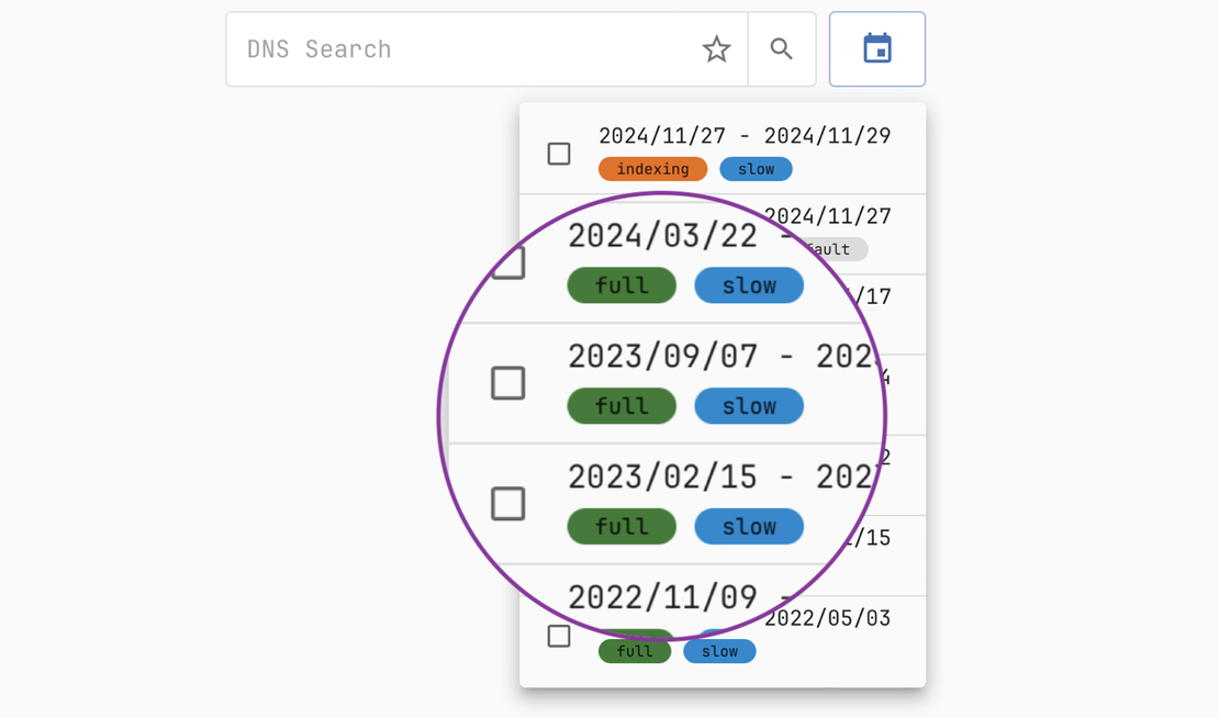 Netlas DNS Lookup - Historical DNS Data