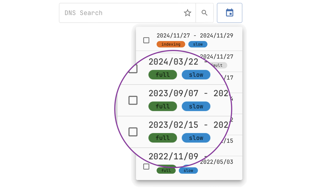 Netlas DNS Lookup - Historical DNS Data