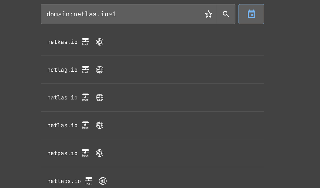 Netlas DNS Lookup - Search for typosquatting