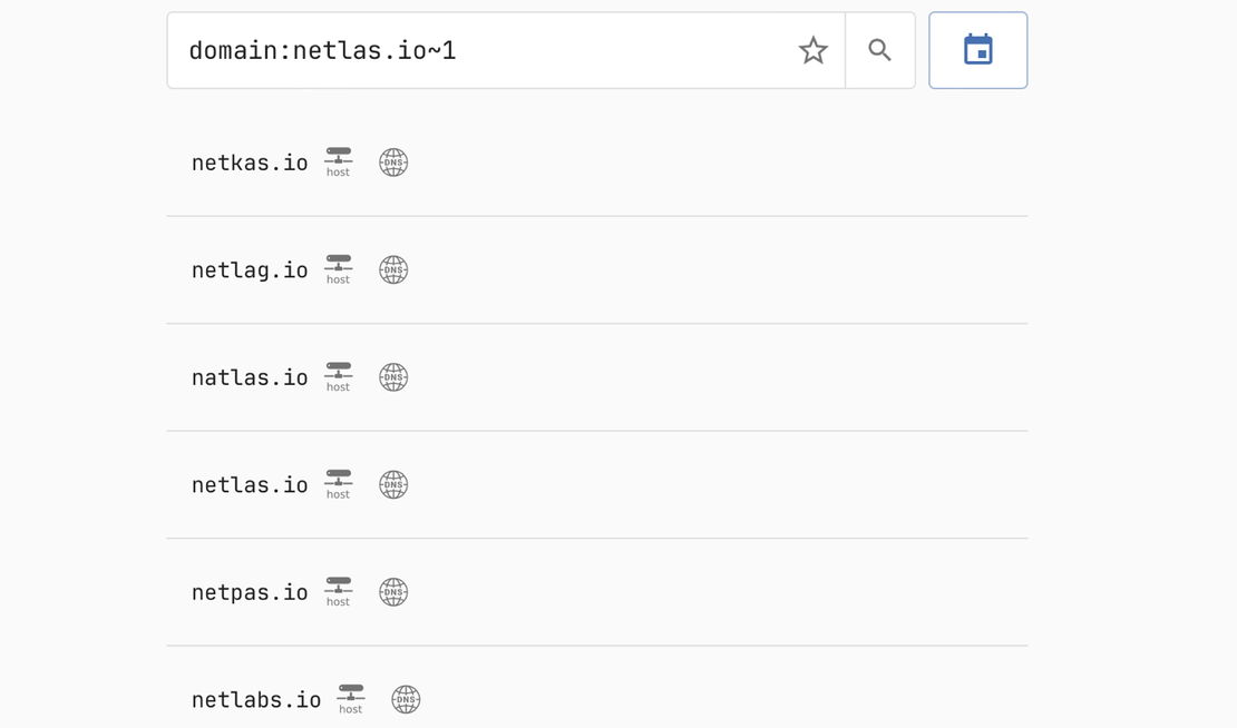 Netlas DNS Lookup - Search for typosquatting