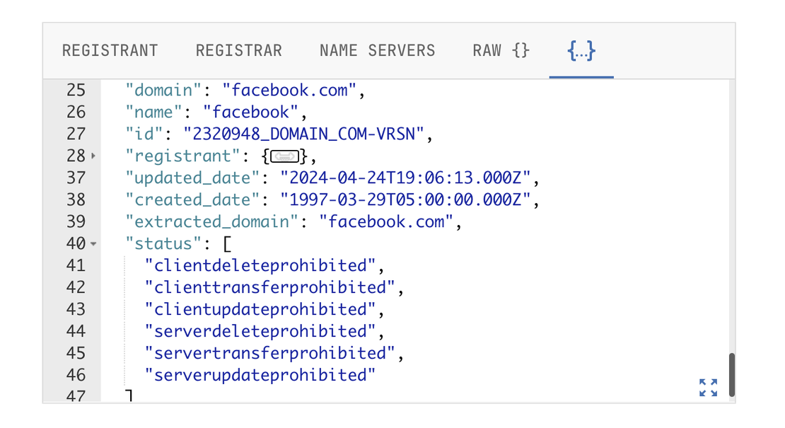 Netlas Domain WHOIS Lookup - Status Restrictions