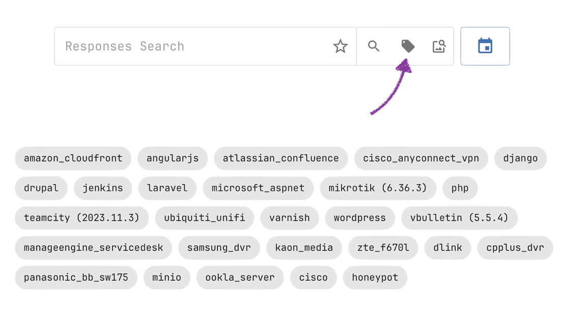 Netlas internet scan data - Technology and software tags
