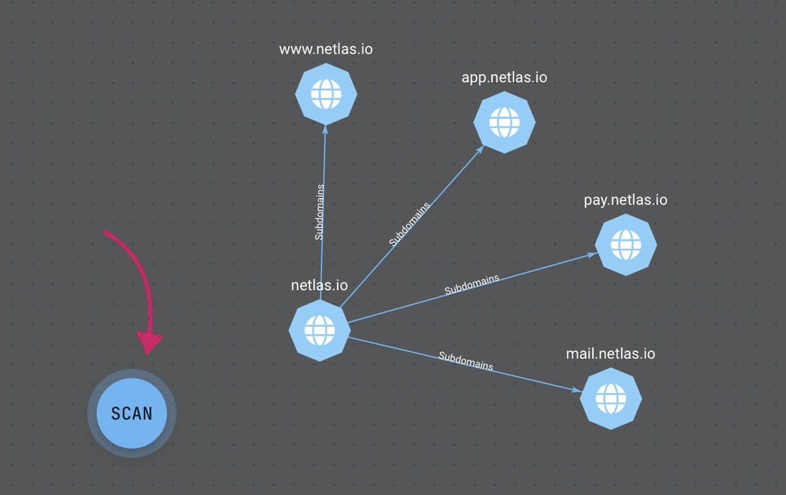 Netlas Private Scanner - Scan Attack Surface