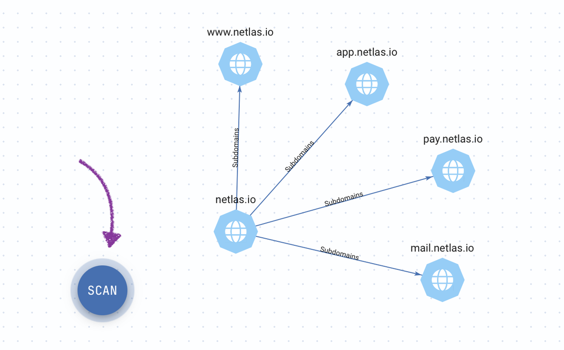 Netlas Private Scanner - Scan Attack Surface