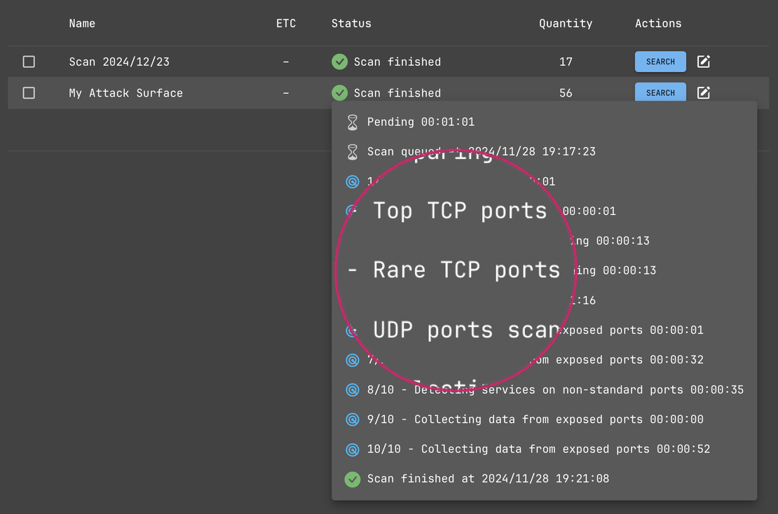 Netlas Private Scanner - Scan Stages