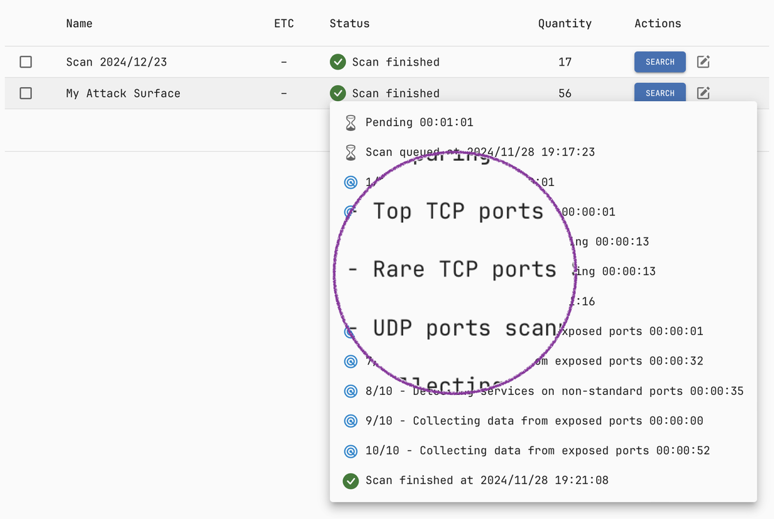 Netlas Private Scanner - Scan Stages