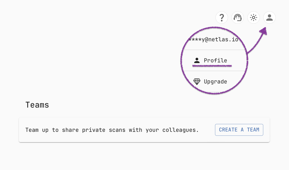 Netlas Private Scanner - Team Collaboration