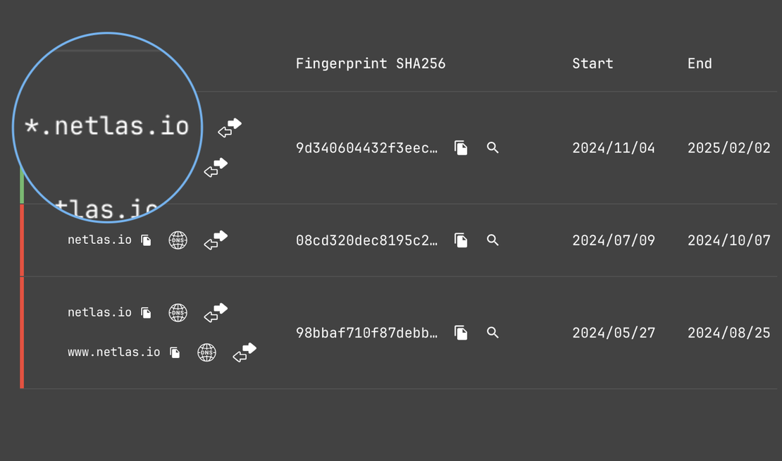 Netlas SSL Certifiacates – Wildcard Certificate Sample