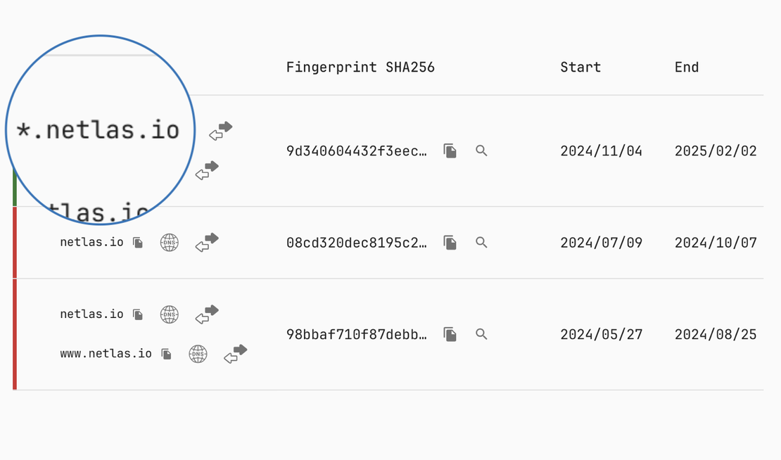 Netlas SSL Certifiacates – Wildcard Certificate Sample