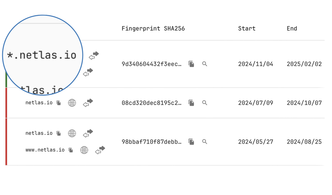 Netlas SSL Certifiacates – Wildcard Certificate Sample