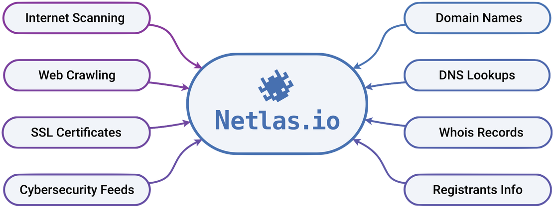 Netlas data collections