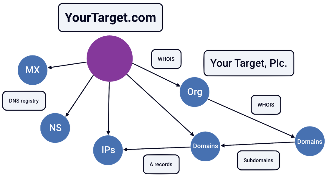 Netlas Attack Surface Discovery Tool