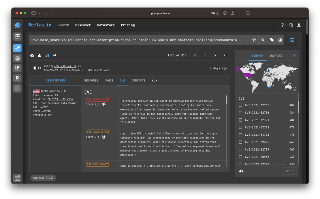 Vulnerability assessment with Netlas.io