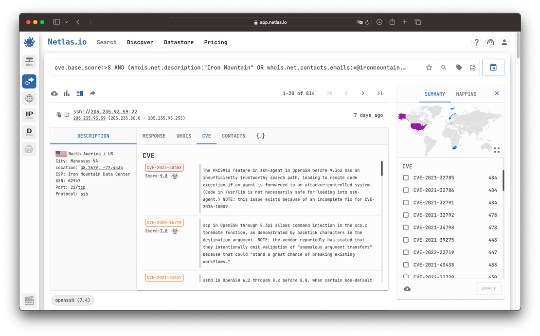 Vulnerability assessment with Netlas.io